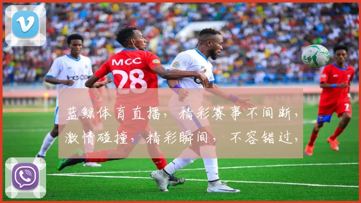 蓝鲸体育直播，精彩赛事不间断，激情碰撞，精彩瞬间，不容错过，三重福利，等你来享