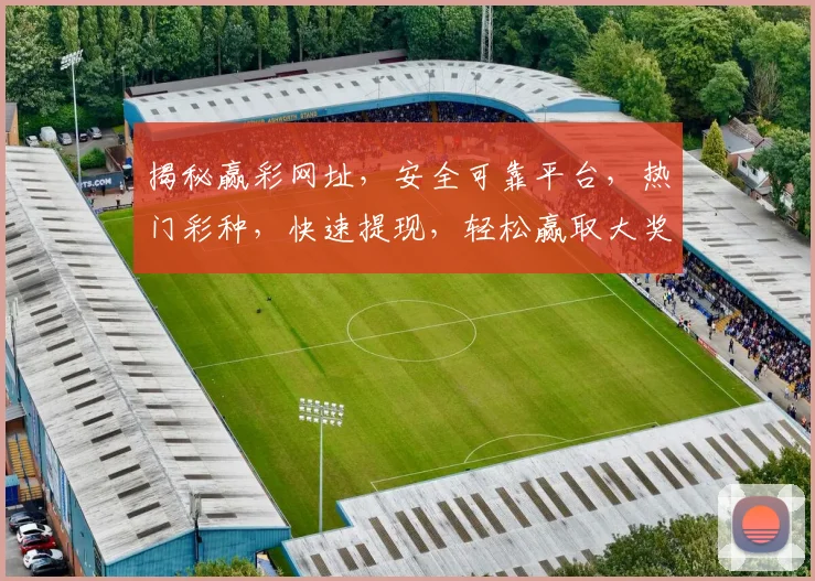 揭秘赢彩网址，安全可靠平台，热门彩种，快速提现，轻松赢取大奖，不容错过