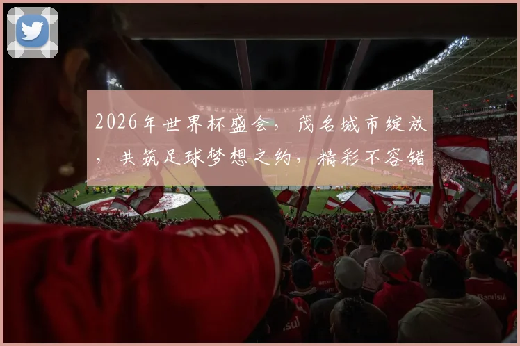 2026年世界杯盛会，茂名城市绽放，共筑足球梦想之约，精彩不容错过