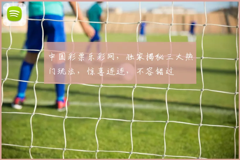 中国彩票乐彩网，独家揭秘三大热门玩法，惊喜连连，不容错过